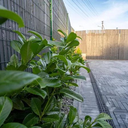 Marvel Apartamentai * Kaunas