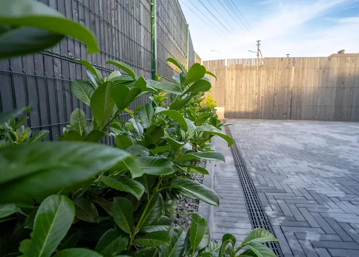 Marvel Apartamentai * Kaunas